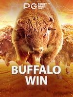Buffalo Win Game: RTP, Fitur, dan Akses Main